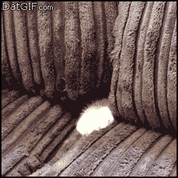 180fc4f9-755f-eb0e-1700924.gif