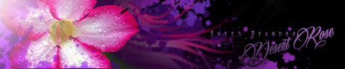 181bb05b-21f8-7872-1791461.png