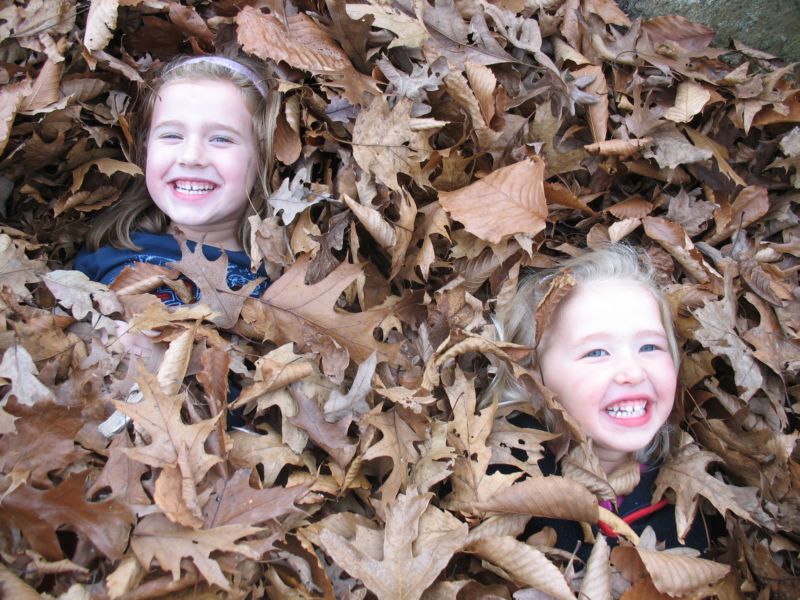 Leaf pile mayhem