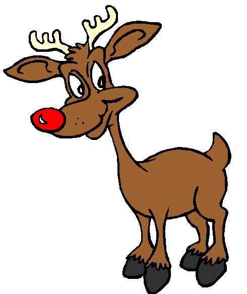 Reindeer