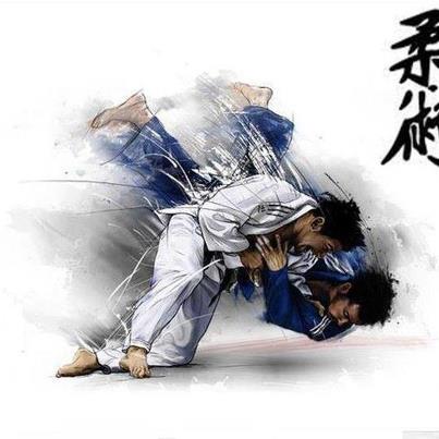 Gracie Jiu Jitsu
