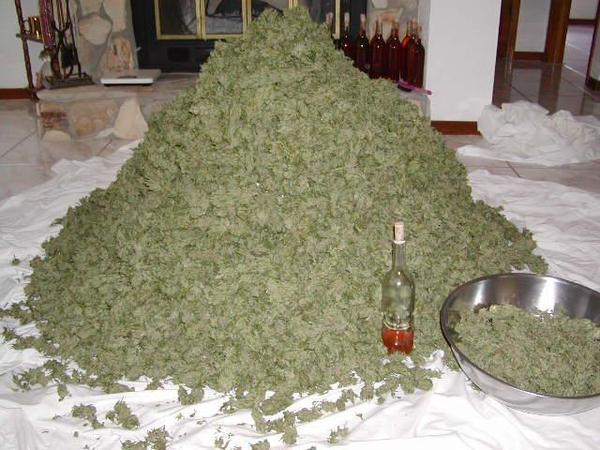 alot of weed. thats alot of weed