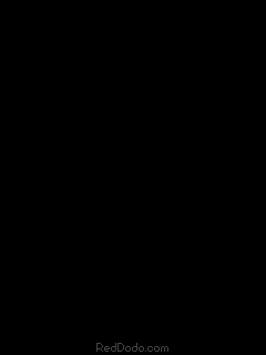 c419ffc3-444b-c396-1079678.gif