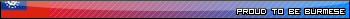 cb51a6b3-5126-0c83-1207447.png